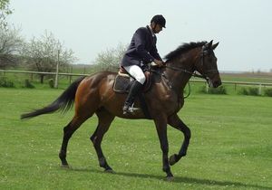 On horseback