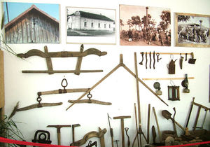 Bucsa Colecția de istorie a localității Bucsa